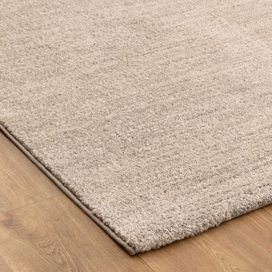 Dorado Minimalist Tonal Beige Rug